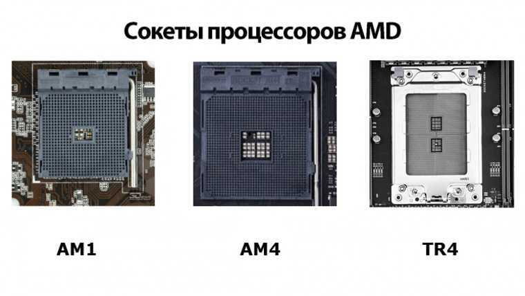 Какие бывают сокеты. Чипсеты AMD am4. Процессоры Intel сокет ам4. Socket AMD am4 Size. Процессор АМД сокет ам3+.
