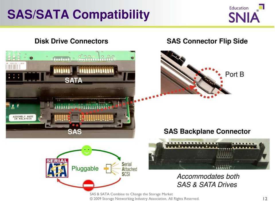 Https obmenvsem net. SAS диски 2 разъема. SAS разъем HDD. SATA SAS u2. Sas3 sas2 разъем.